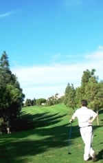 Diffficult golf course management decisions at El Chapparal Golf Club Marbella